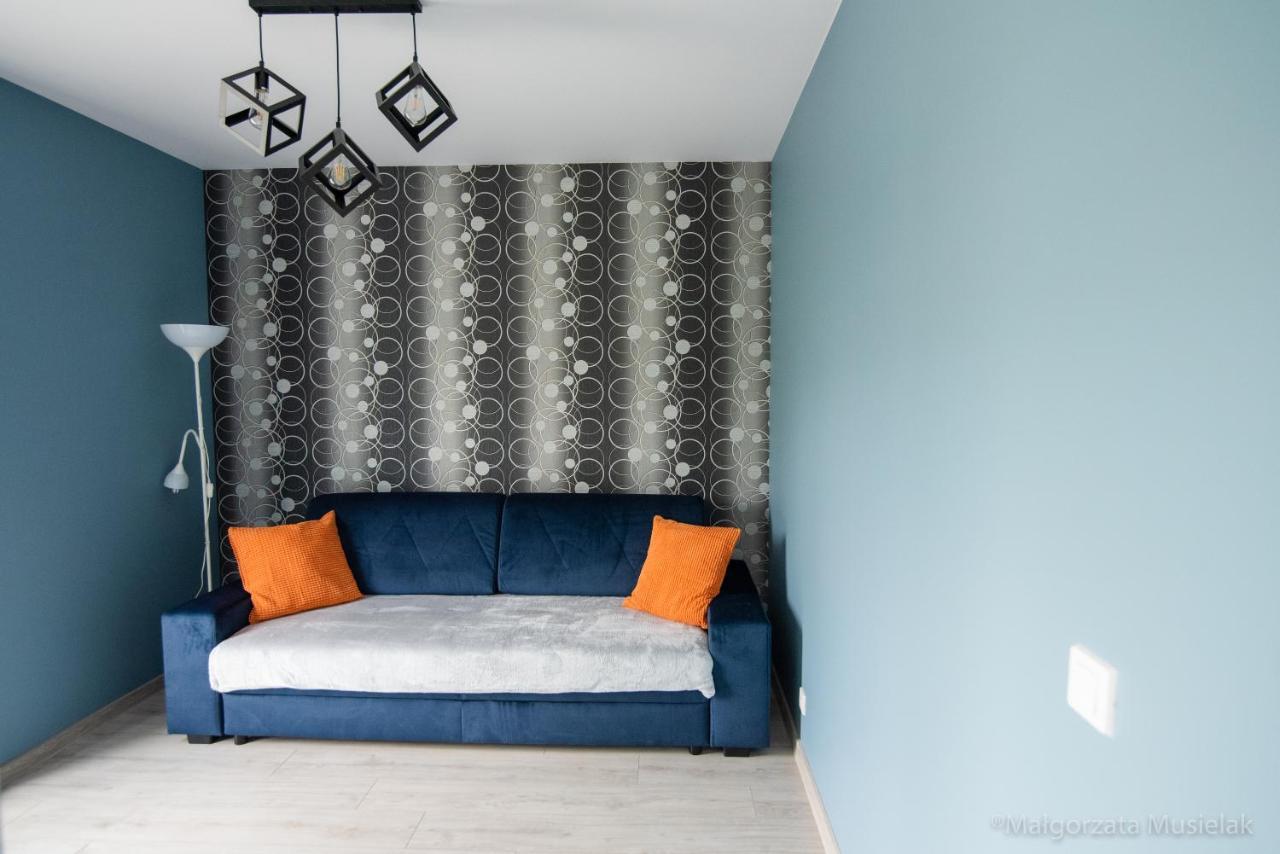 Apartamenty U Edzi Zator Buitenkant foto